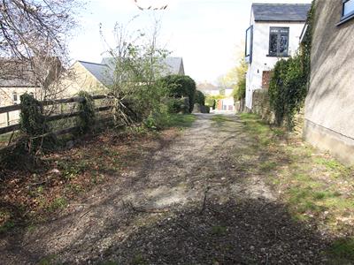 Picture 11